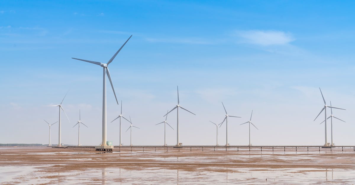 How to Develop a Successful Wind Farm