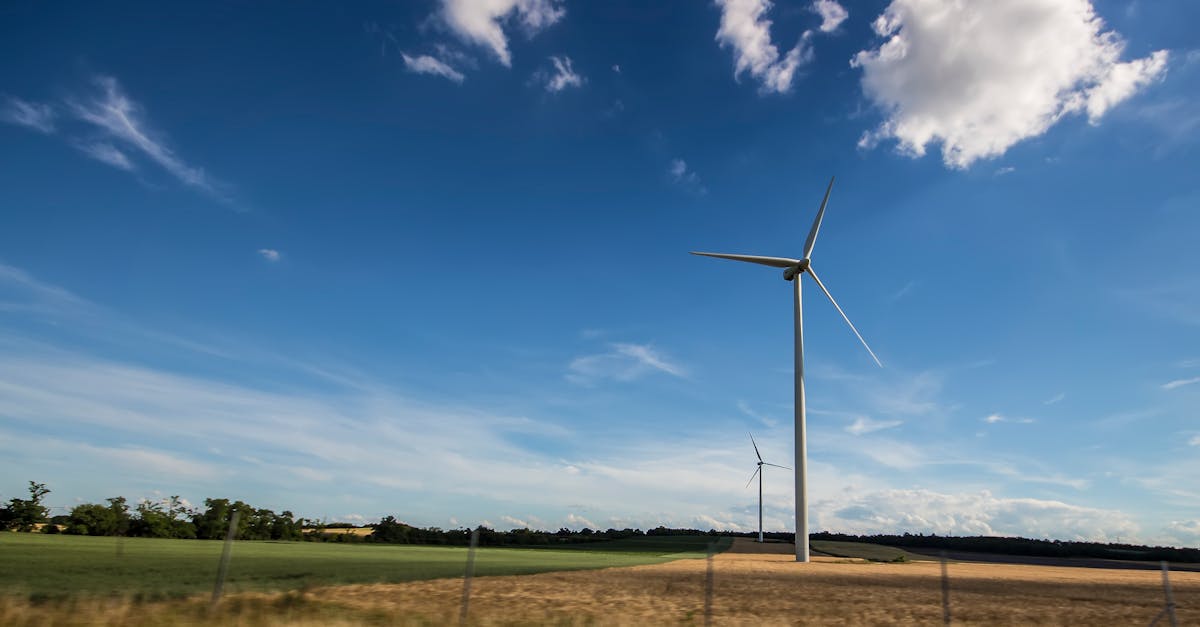 How to Develop a Wind Farm Successfully