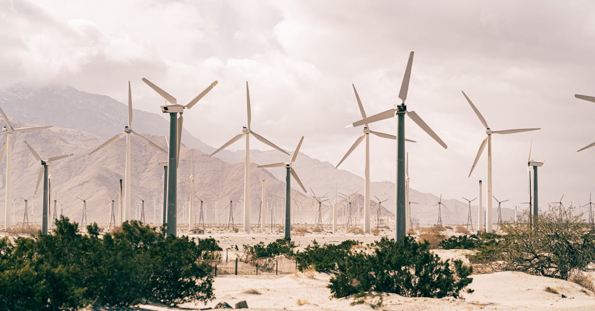 Review of the Latest Wind Energy Policies and Incentives