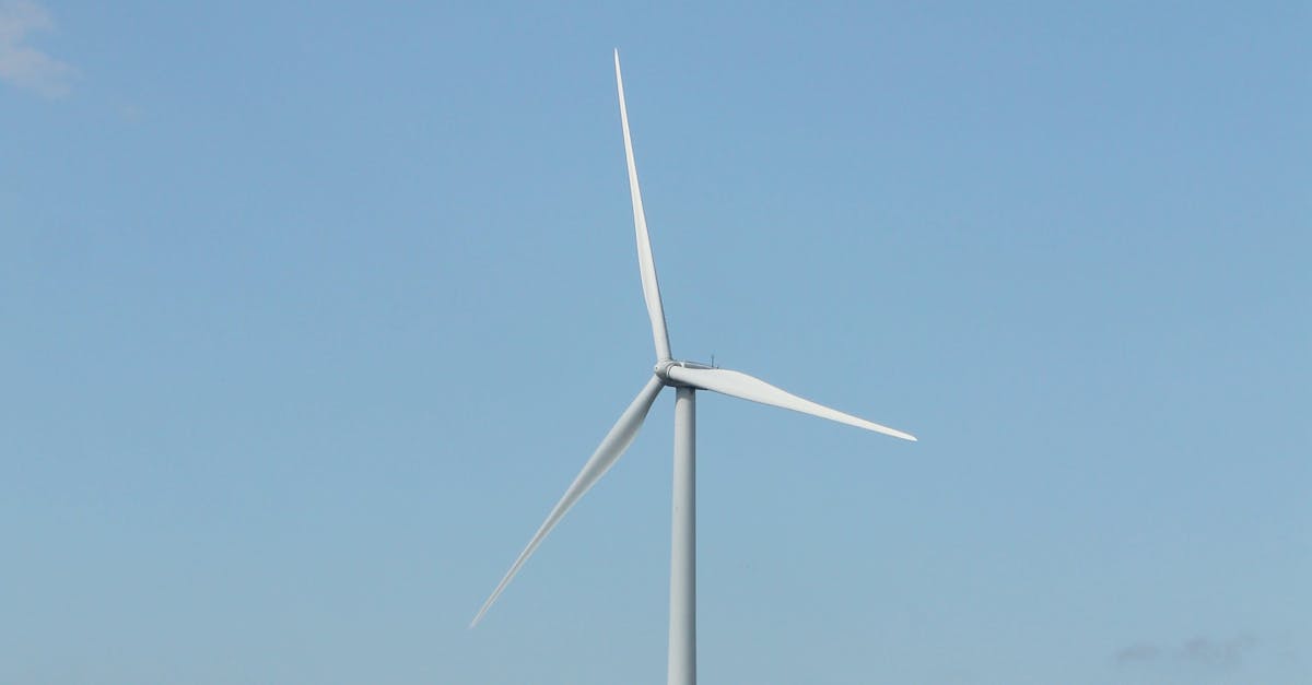 Roundup of the Best Practices in Wind Farm Development