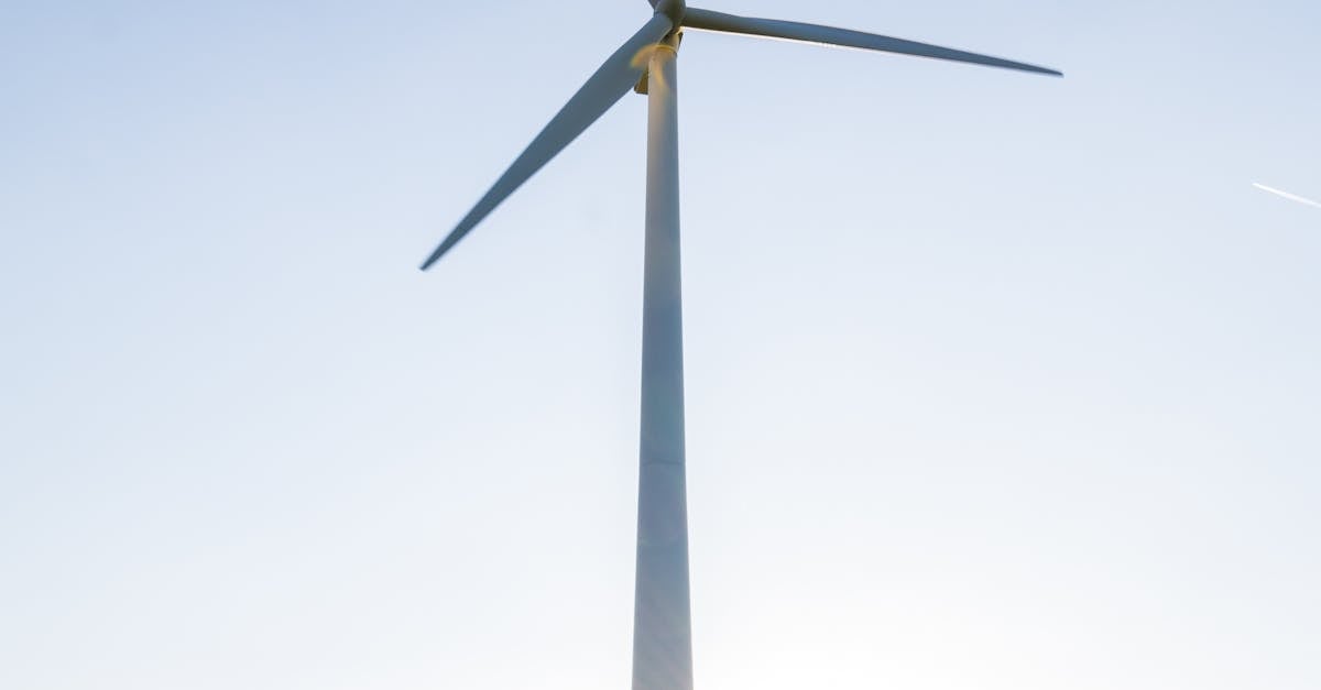 What to Consider Before Investing in Wind Energy