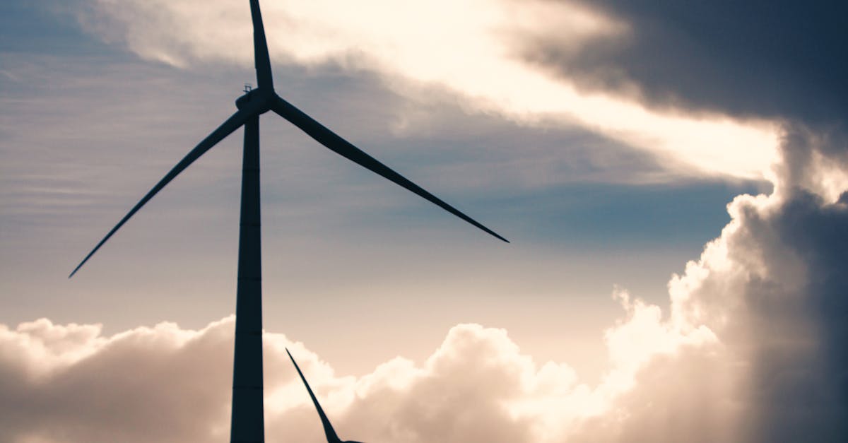 What to Consider When Assessing the Environmental Impact of Wind Energy