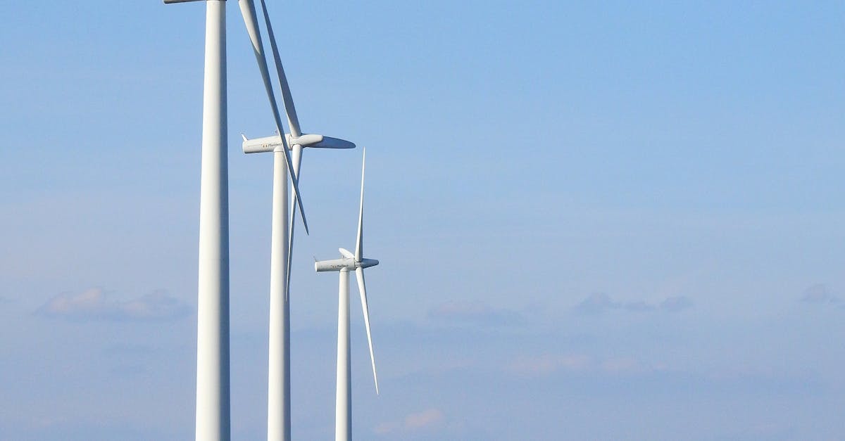 Why Governments Should Support Wind Energy Initiatives